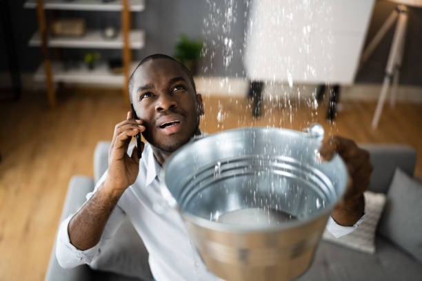Best Professional water damage repair  in Diamond Ridge, AK