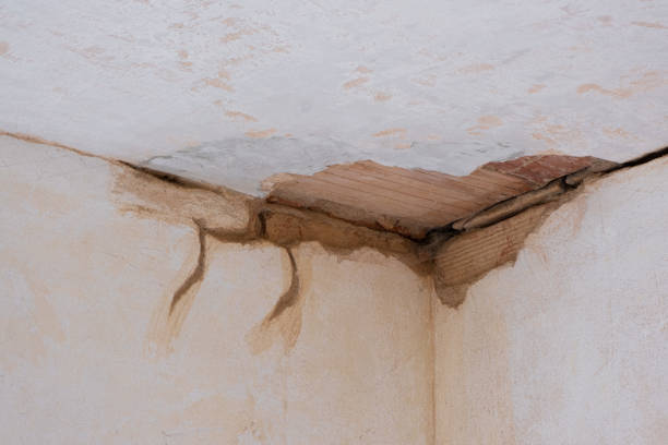 Best Water damage restoration insurance claims  in Diamond Ridge, AK